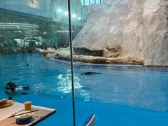 -帝企鹅自助餐厅•儿童岛•真企鹅(长隆企鹅酒店)