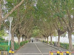 -风云岭森林公园