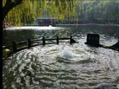 -百脉泉景区