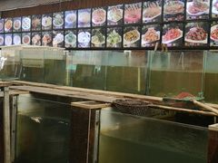 -巩本明鱼屋子