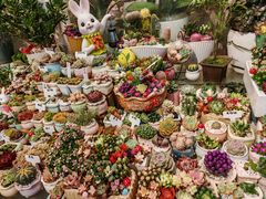 -双季花艺园艺市场(浦东店)