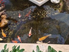 -广州白天鹅宾馆