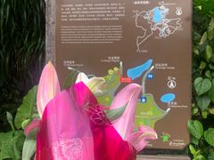 -深圳仙湖植物园