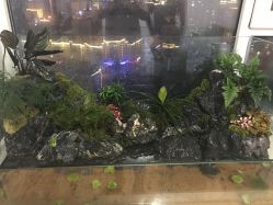 -J-Flying艺术形象设计