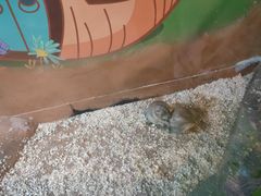-秦皇岛新澳海底世界