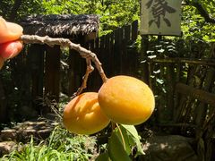 -北京水岸山吧度假村(雁栖镇店)