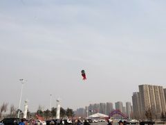 -丁香湖公园
