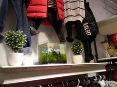 -崔勇假发