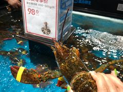 波士顿龙虾-盒马鲜生(曜一城店)