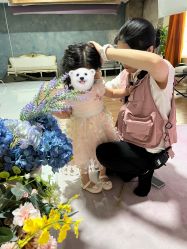 -芳妮豆丁家庭影像馆(宝安店)