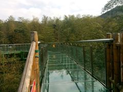 -陶祖圣境风景区