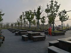 -春花秋色城市公园