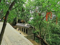 -宝通禅寺