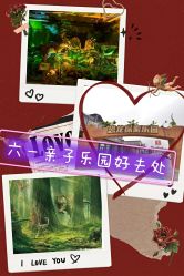 -恐龙探索乐园(磁器口店)