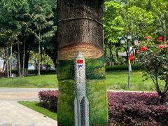 -映月湖公园