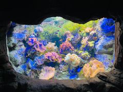 -郑州海洋馆