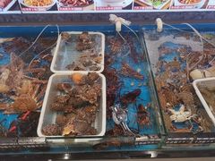 -俏东方·海味水饺·青岛菜(崂山店)