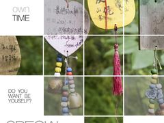 -西双版纳原始森林公园