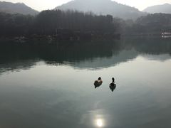 -白马涧龙池景区