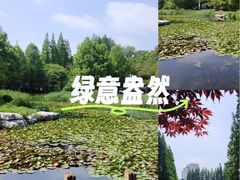 -青岛海滨风景区