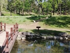 -承德避暑山庄景区