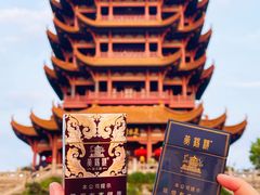 -黄鹤楼公园(黄鹤楼)