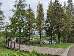 -眉山湿地公园(东坡区)