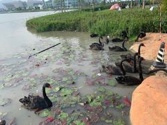 -琅岐红光湖公园