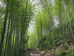 -径山寺