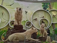 -陕西自然博物馆