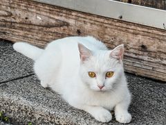 -福建省非物质文化遗产博览苑