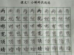 -赵汝飞练字硬笔书法(博泰国际校区)