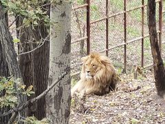 -哈尔滨北方森林动物园