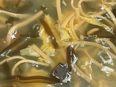 -肥叔锅贴(滨湖欣园店)