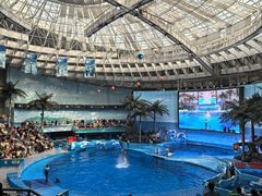 -海合安成都极地海洋公园