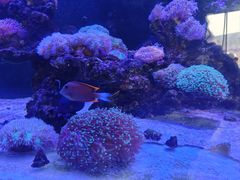 -海合安武汉极地海洋公园