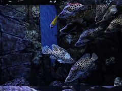 -成都浩海立方海洋公园