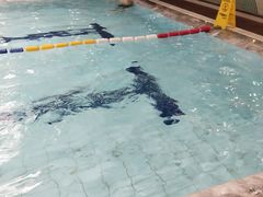 -威尔仕健身·游泳(龙湖天街店)