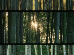 -云栖竹径