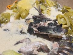 -滇小鱼·云南野生菌火锅(上杭路店)