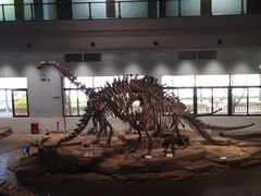 -自贡恐龙博物馆