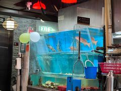 水产区-鲜入围煮花胶鸡海鲜火锅