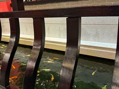 -龙悦湾酒家·八阵鱼生·渔人码头店