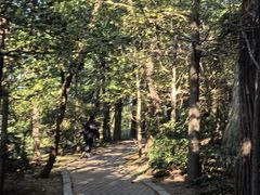 -棒棰岛宾馆景区