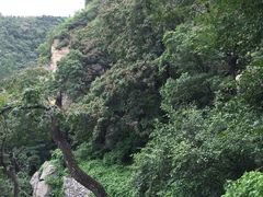 -北京鹫峰国家森林公园