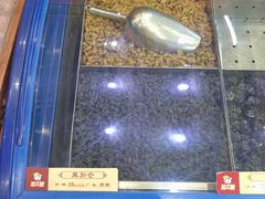 -粒上皇(人民南二路店)
