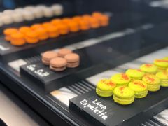 -Colony(新加坡丽思卡尔顿美年酒店)
