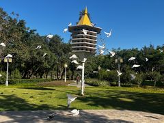 -顺峰山公园