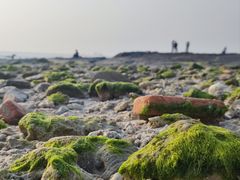 -石螺口海滩