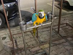 -吴长子卤菜馆(统一街店)